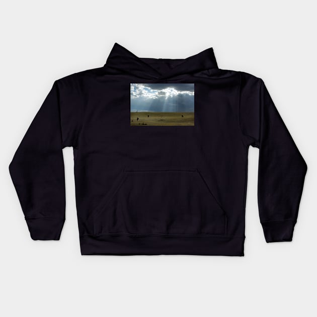 Open Range Kids Hoodie by VKPelham